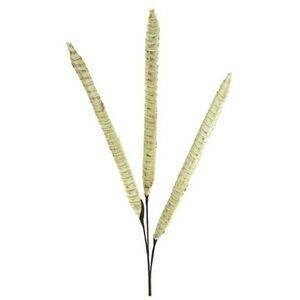 Renaissance 2000 Zebra Succulent Spray, 43-Inch, W